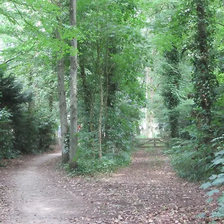 Holiday home Holiday Home In Huizen'S Charm, Cleaning Included Huizen
