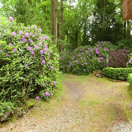 Holiday Home In Huizen'S Charm, Cleaning Included * Huizen